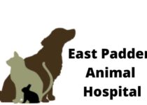 East Padden Animal Hospital Doctor List, Address, Contact, Reviews