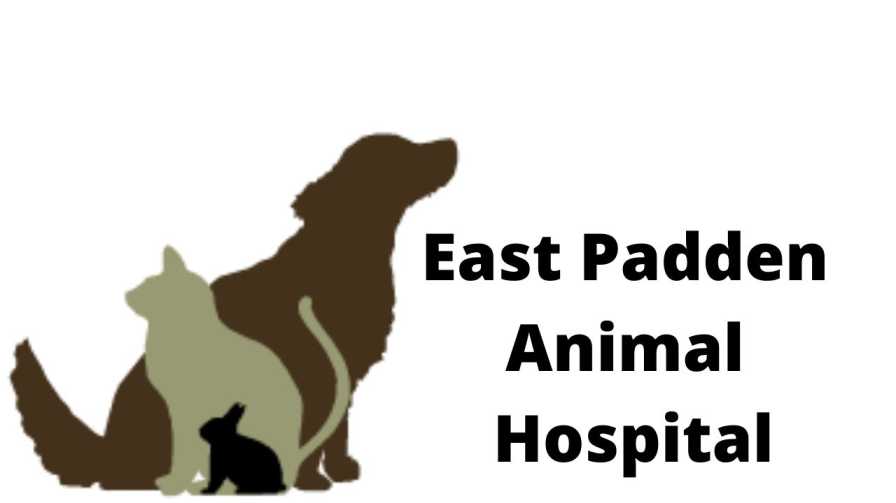 East Padden Animal Hospital Doctor List, Address, Contact, Reviews East Padden Animal Hospital Doctor List, Address, Contact, Reviews