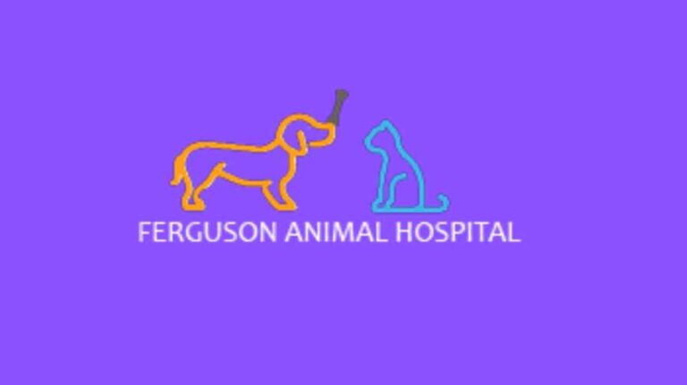 Ferguson Animal Hospital Doctor List, Address, Contact, Reviews