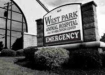 West Park Animal Hospital Doctor List, Address, Contact, Reviews