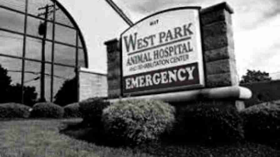 West Park Animal Hospital Doctor List, Address, Contact, Reviews