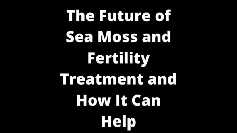 The Future of Sea Moss and Fertility Treatment and How It Can Help