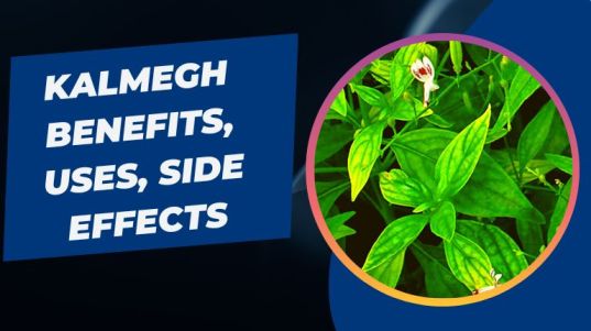 Kalmegh Benefits, Uses, Side Effects