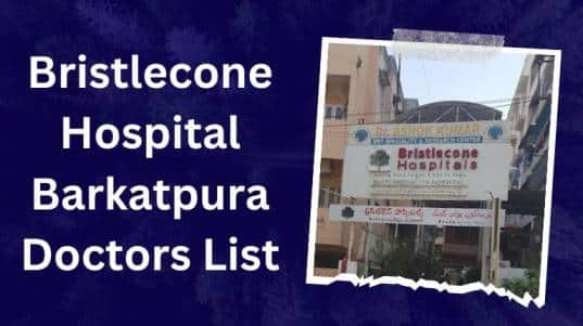 Bristlecone Hospital Barkatpura Doctors List