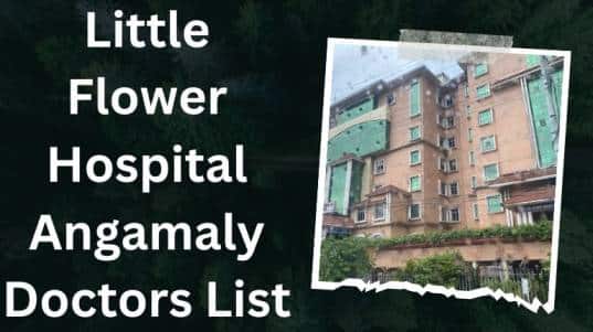 Little Flower Hospital Angamaly Doctors List