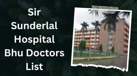 Sir Sunderlal Hospital Bhu Doctors List